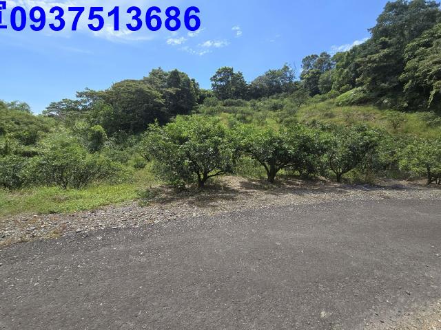 宜蘭礁溪農地-4