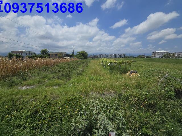 宜蘭三星農地-13
