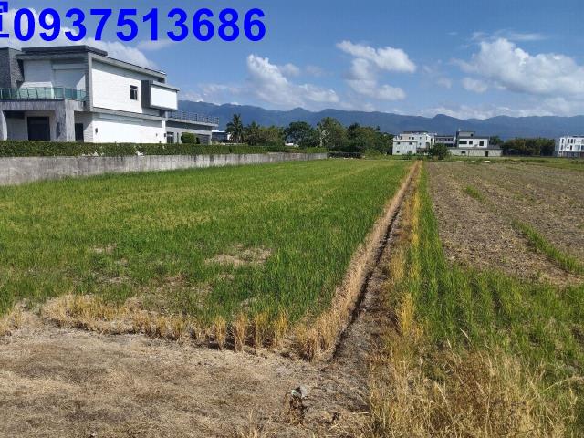 宜蘭壯圍農地-0