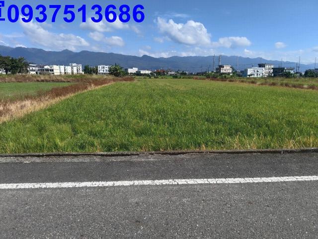 宜蘭壯圍農地-2