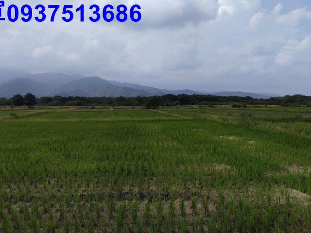 宜蘭三星農地-8