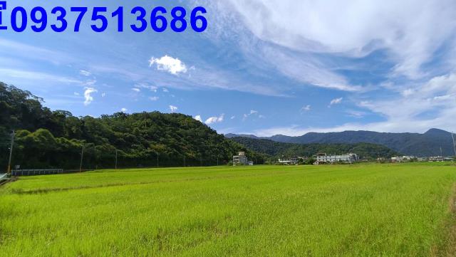 宜蘭礁溪農地-13