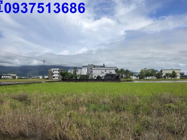 宜蘭礁溪農地-3