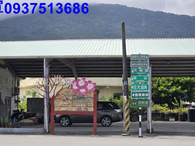 壽豐林地-11