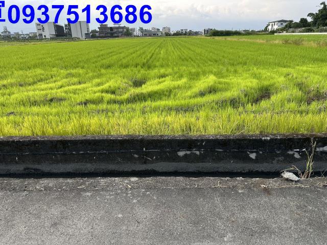 壯圍農地-1