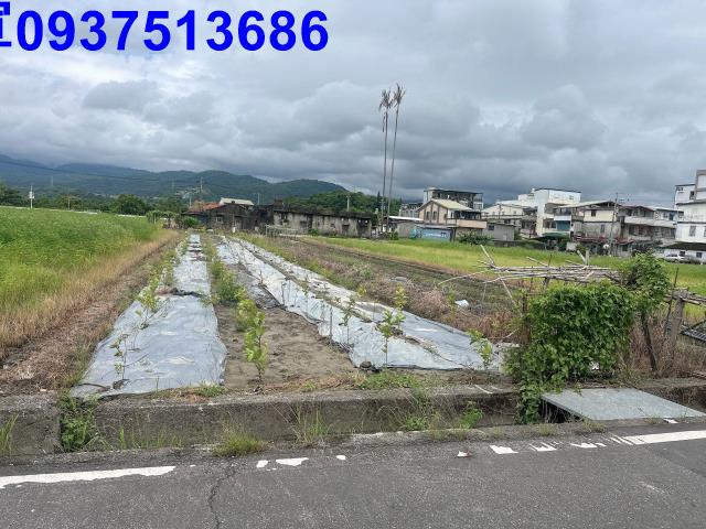 員山農地-11