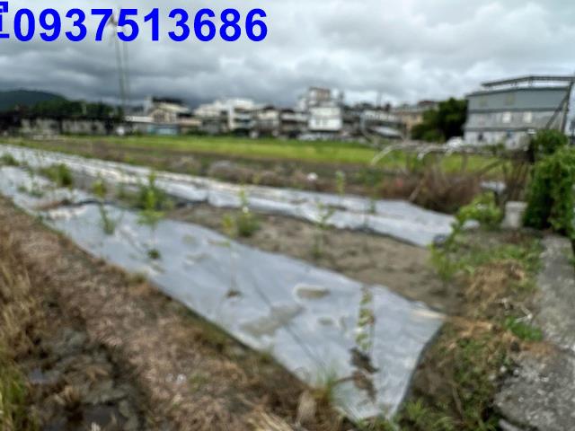 員山農地-12