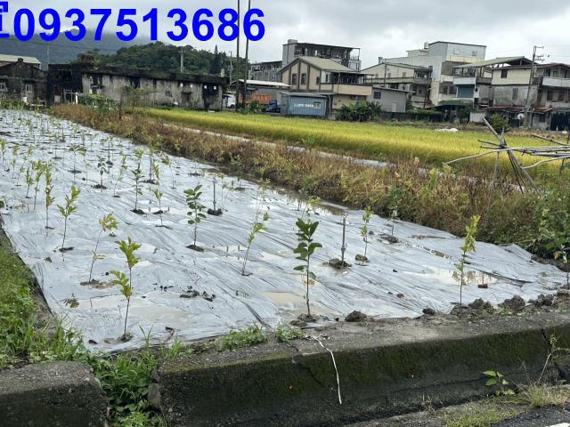 員山農地-3
