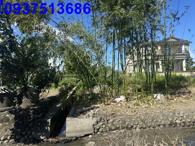 壯圍農地-7