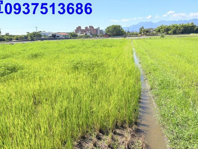五結農地-3