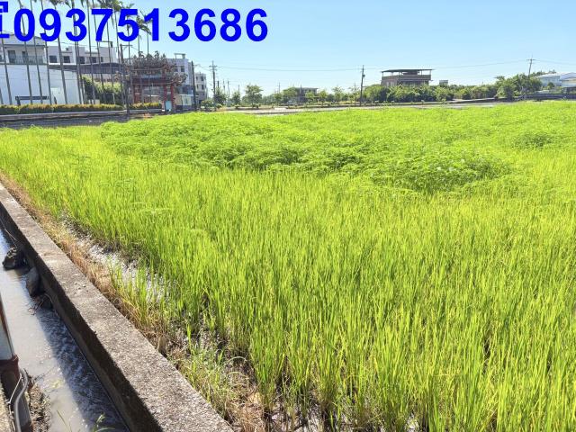 五結農地-13