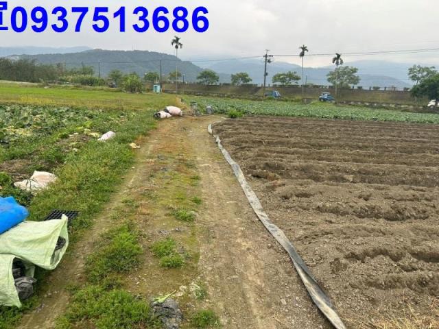 宜蘭農地-2